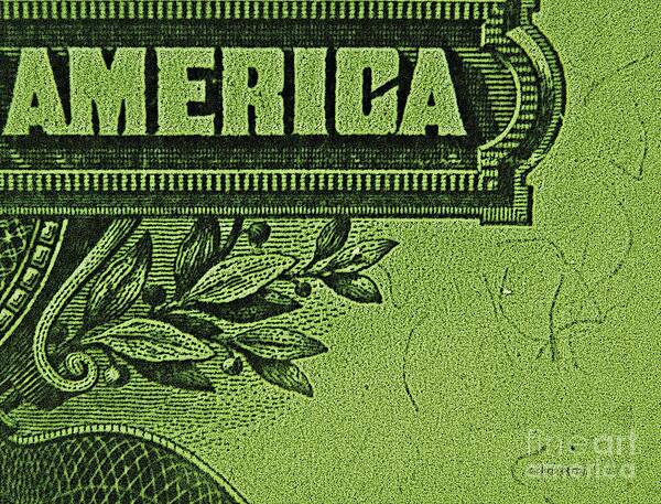 Money Art Print featuring the photograph American Money Art by Chris Berry