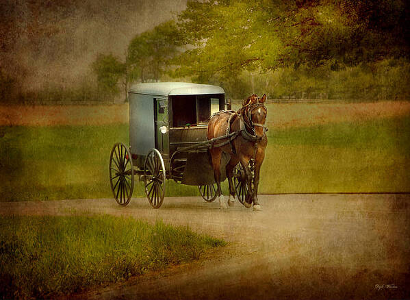Amish Art Print featuring the photograph Amish Buggy Ride by Dyle  Warren