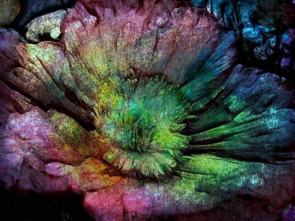 Flowers Art Print featuring the photograph Ancient flower by Lilia S