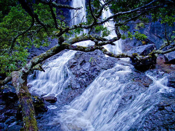 Waterfalls Art Print featuring the photograph Ancient Friends by Mark Egerton