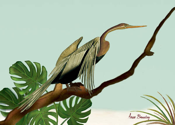 Anhinga Bird Art Print featuring the painting Anhinga Bird by Anne Beverley-Stamps