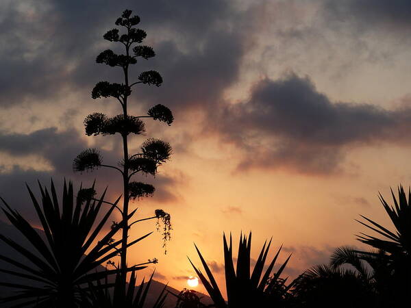 Sky Art Print featuring the photograph Another view by Janina Suuronen