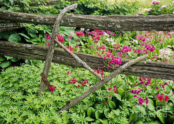 Garden Art Print featuring the photograph Antique Plow Handles by Alan L Graham