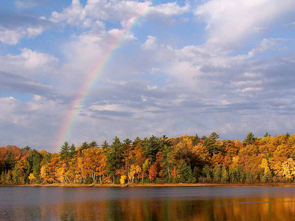 Rainbow Art Print featuring the photograph At the end of the Rainbow by Forest Floor Photography