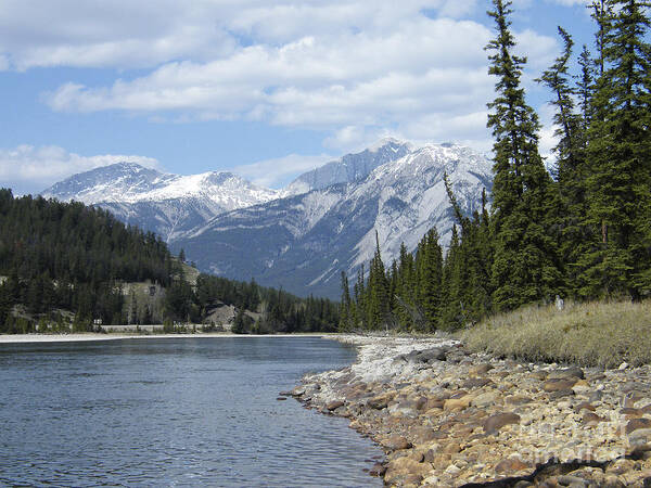 Jasper Art Print featuring the photograph Athabasca River - Jasper - Alberta by Phil Banks