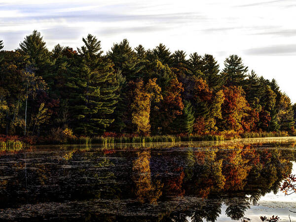 Autumn Art Print featuring the photograph Autumn At It's Finest 2 by Thomas Young