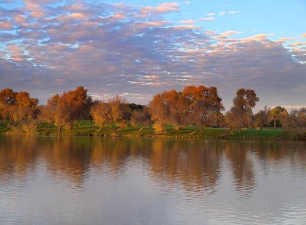 Sky Art Print featuring the photograph Autumn colors by Meir Ezrachi