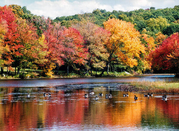 Scenic Art Print featuring the photograph Autumn Pond by William Selander