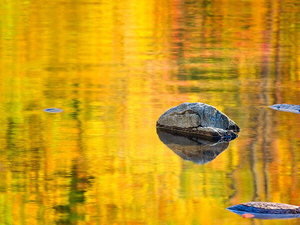 Nature Art Print featuring the photograph Autumn Reflected by Joan Herwig