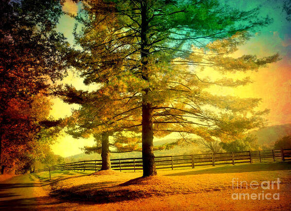 New Jersey Art Print featuring the photograph Autumn Stroll by Beth Ferris Sale