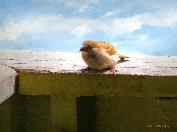 Bird Art Print featuring the painting Aw Shucks by RC DeWinter