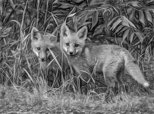 Wildlife Art Print featuring the photograph Babes In The Woods 2 - Paint BW by Steve Harrington