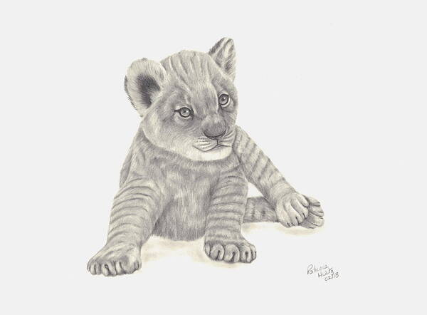 Animal Art Print featuring the drawing Baby Lion by Patricia Hiltz