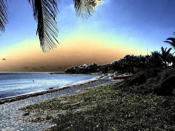 Beach Art Print featuring the photograph Bahia Luna Media by Jessica Levant