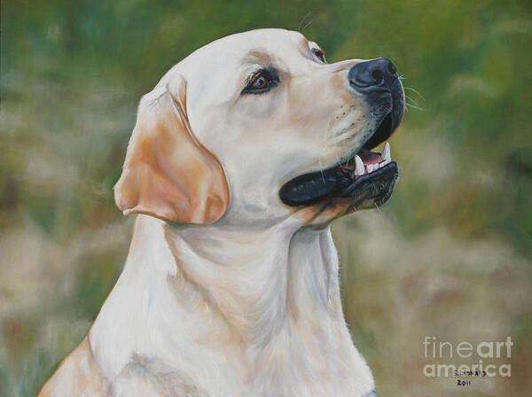Labrador Retriever Art Print featuring the painting Baron by Suzanne Leonard