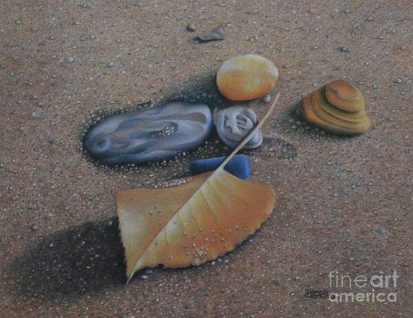 Beach Art Print featuring the drawing Beached III by Pamela Clements