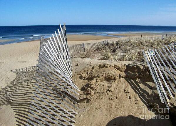 Beach Art Print featuring the photograph Beautiful Beach Day by Eunice Miller