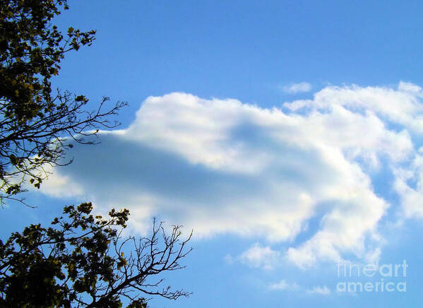 Sky Art Print featuring the photograph Beautiful Day by Robyn King