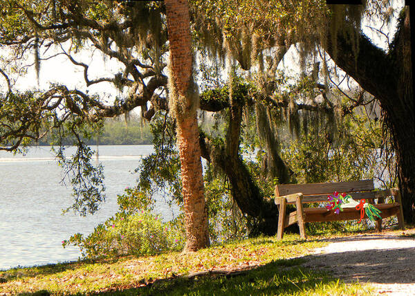 Bench Art Print featuring the photograph Bench by the Lake by Rosalie Scanlon
