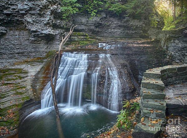 Waterfall Art Print featuring the photograph Big Stick by Claudia Kuhn