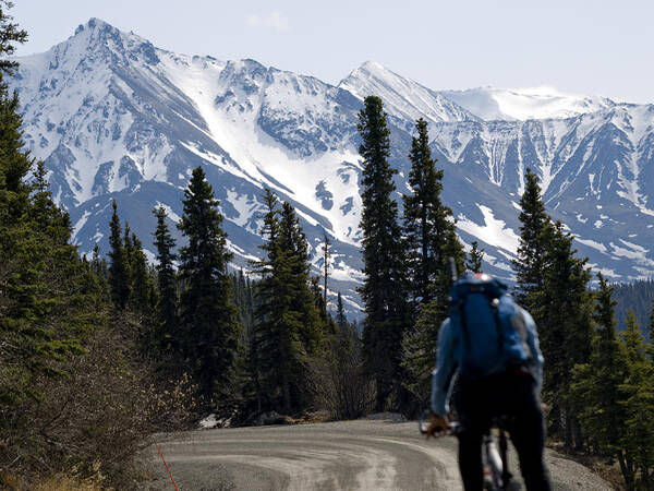 Mountain Art Print featuring the photograph Biking Denali Style by Tara Lynn