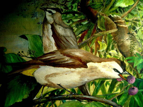 Birds Art Print featuring the painting Bird from Bali by Jason Sentuf