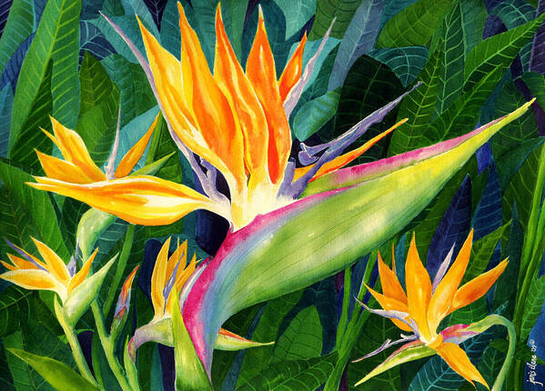 Flower Paintings Art Print featuring the painting Bird-of-Paradise by Janis Grau