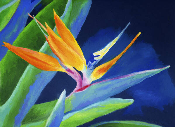 Flower Art Print featuring the painting Bird of Paradise by Stephen Anderson