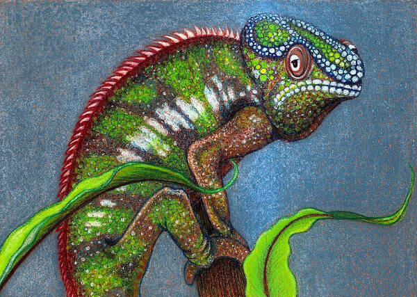 Lizard Art Print featuring the drawing Bizz by Jo Prevost