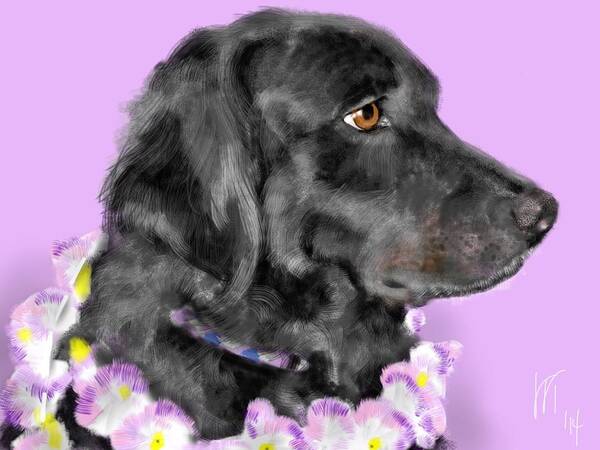 Black Dog Art Print featuring the painting Black Dog Pretty in Lavender by Lois Ivancin Tavaf