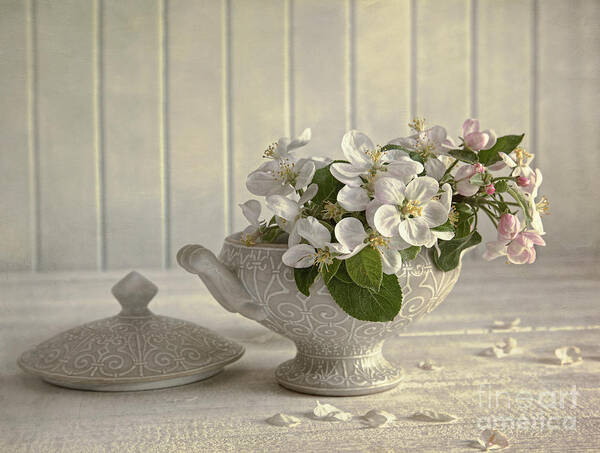 Apple Art Print featuring the photograph Blossoms on porcelain vase by Sandra Cunningham