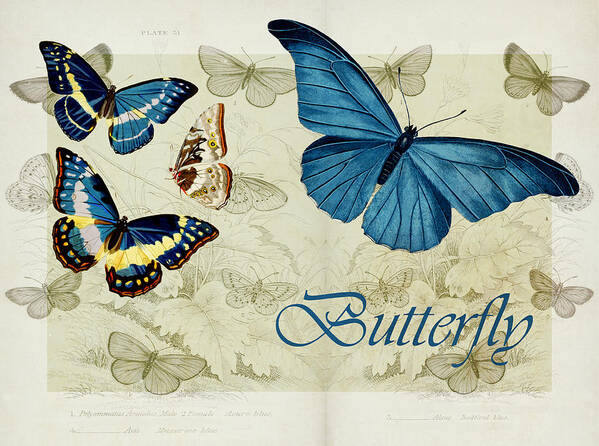 Butterfly Art Print featuring the digital art Blue Butterfly - s01a by Variance Collections