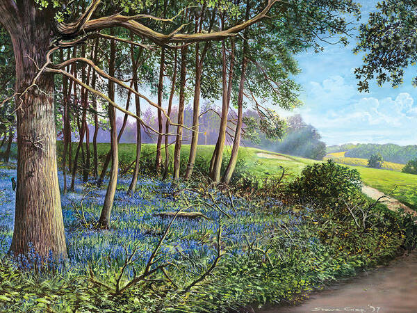 Steve Crisp Art Print featuring the photograph Bluebells by MGL Meiklejohn Graphics Licensing