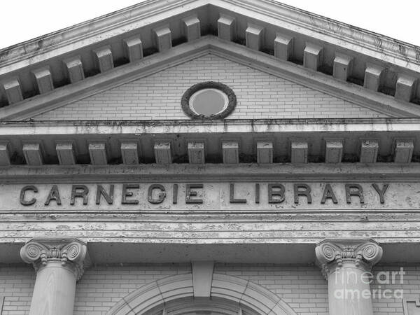 Carnegie Library Art Print featuring the photograph Book Worm by Michael Krek