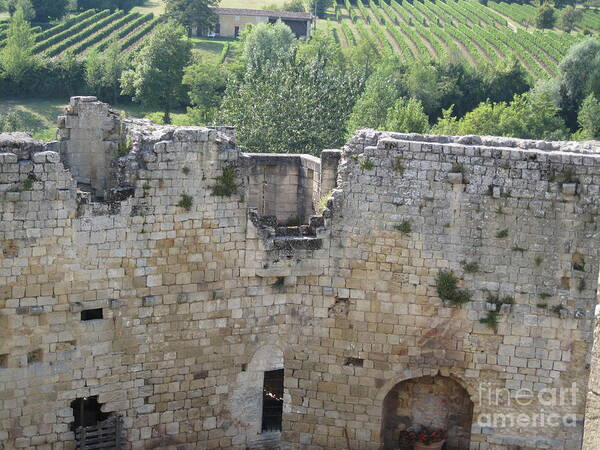 Vineyard Art Print featuring the photograph Bordeaux castle ruins with vineyard by HEVi FineArt