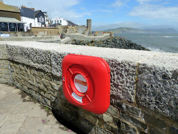 Bouy Art Print featuring the photograph Bouy on Lyme Regis Sea Wall by Gordon James
