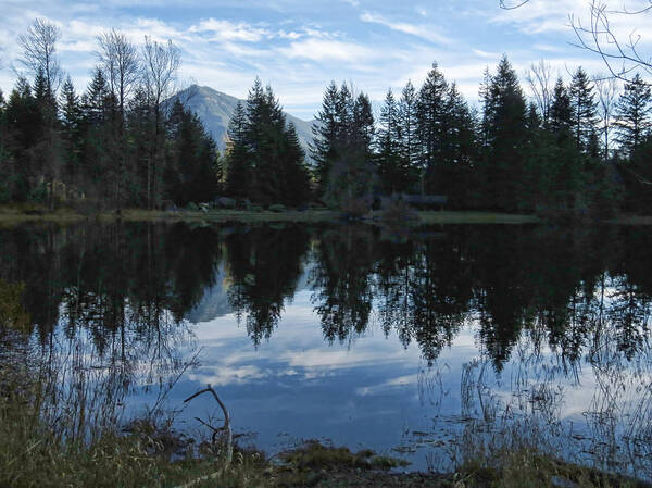 North Bend Art Print featuring the photograph Brewster Lake North Bend WA by Helaine Cummins