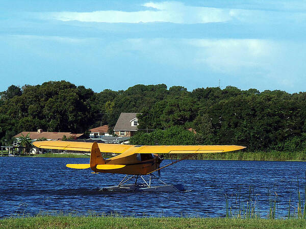 Airplane Art Print featuring the photograph Brown's Piper Cub by Christopher Mercer