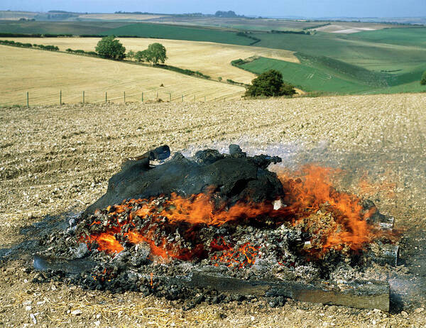Bse Art Print featuring the photograph Bse-infected Cow Being Burnt In A Dorset Field by Sinclair Stammers/science Photo Library