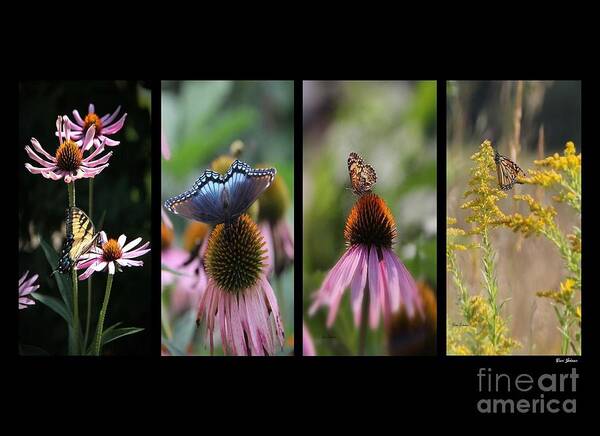 Butterfly Art Print featuring the photograph Butterflies Panel by Yumi Johnson