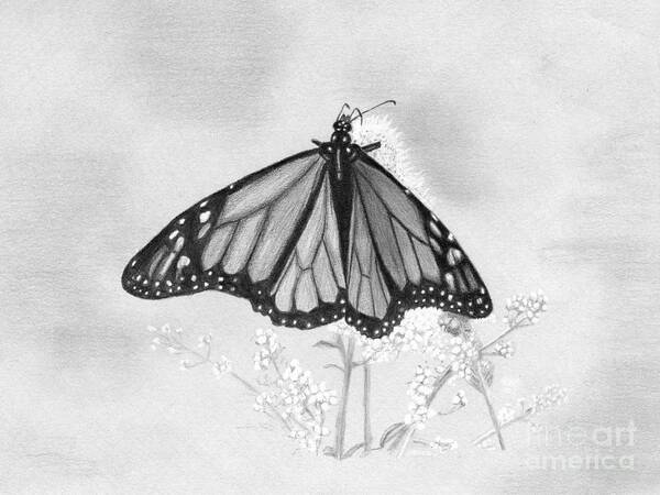 Denise Art Print featuring the drawing Butterfly by Denise Deiloh