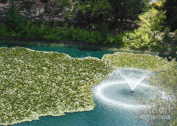 Fountain Art Print featuring the photograph Calistoga Summer by Mini Arora