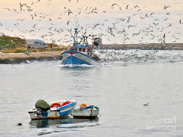 Portugal Fisherman Lagos Art Print featuring the photograph Calm Before the Storm by Suzanne Oesterling