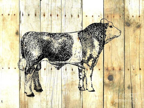 French Simmental Art Print featuring the drawing Canadian Champion 9 by Larry Campbell
