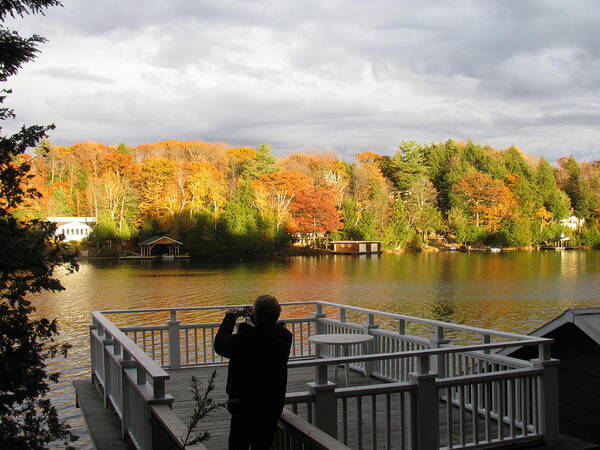 Autumn Art Print featuring the photograph Capturing Autumn by Alfred Ng