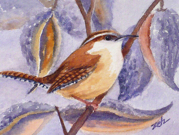 Wren Print Art Print featuring the painting Carolina Wren and Milkweed Pods by Janet Zeh