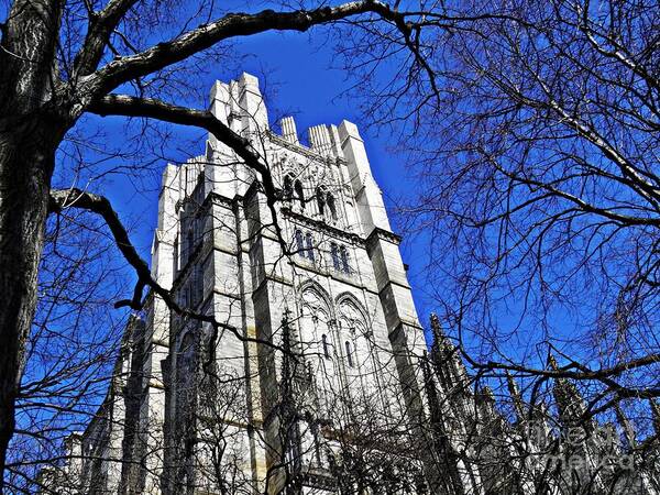 Church Art Print featuring the photograph Cathedral by Sarah Loft