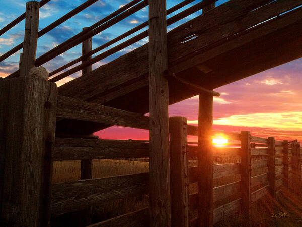 Cattle Pens Art Print featuring the photograph Cattle Pens by Rod Seel