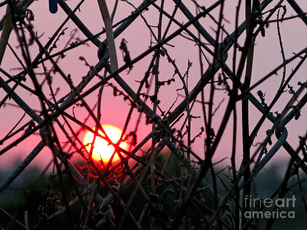 Sunset Art Print featuring the photograph Chain Link Sunset by Jennie Breeze