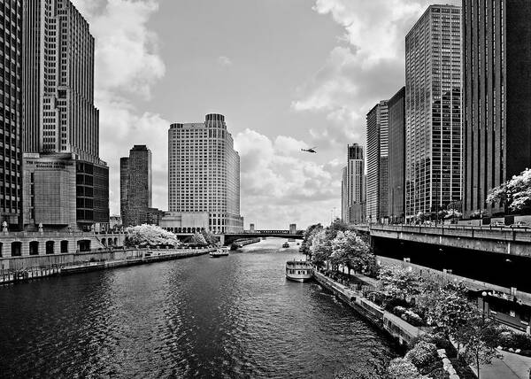 Chicago Art Print featuring the photograph Chicago River - The River that flows backwards by Alexandra Till